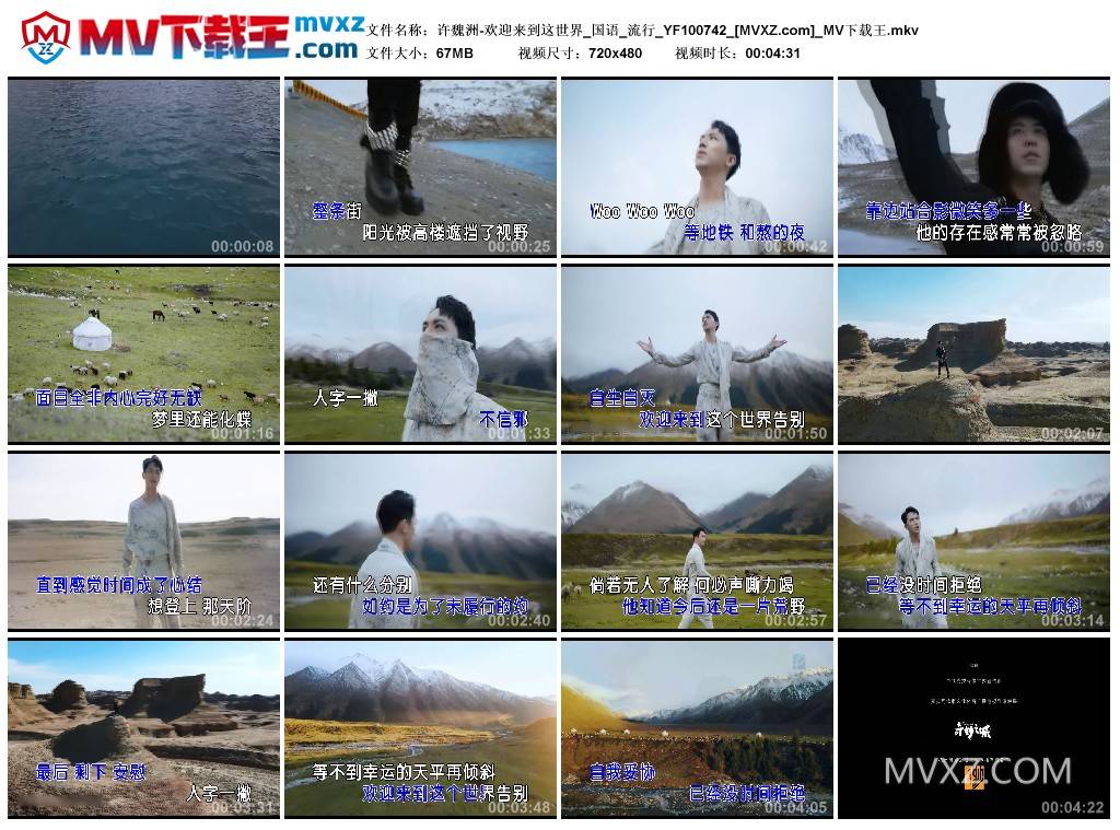 许魏洲-欢迎来到这世界_国语_流行_YF100742